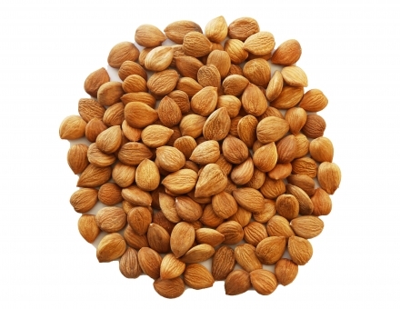 �½�������