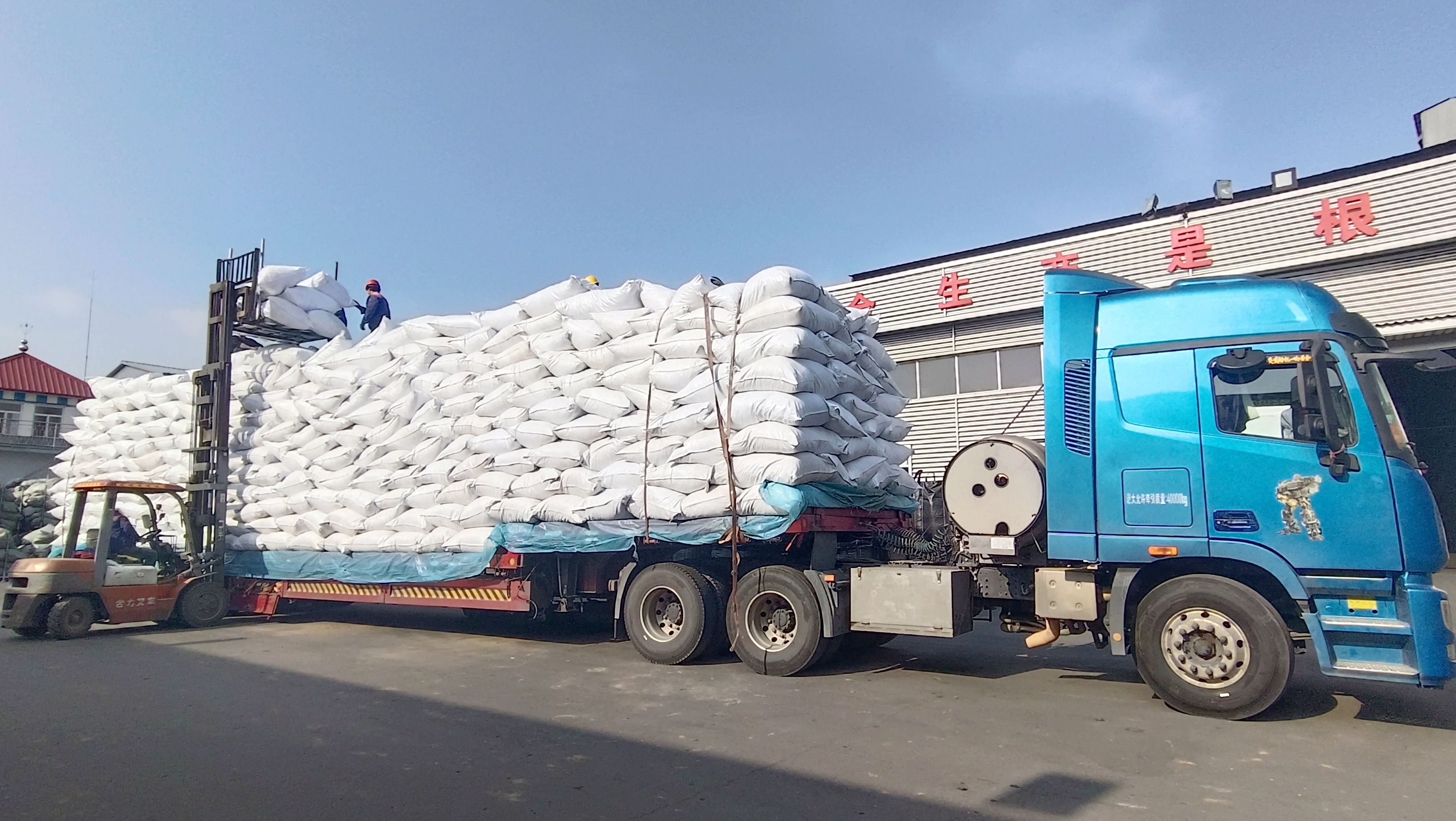 ���ջ�Ե��í�㾢ͷ�����ƶ���